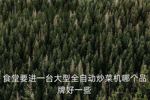 大型烘炒機械，食堂要進一臺大型全自動炒菜機哪個品牌好一些