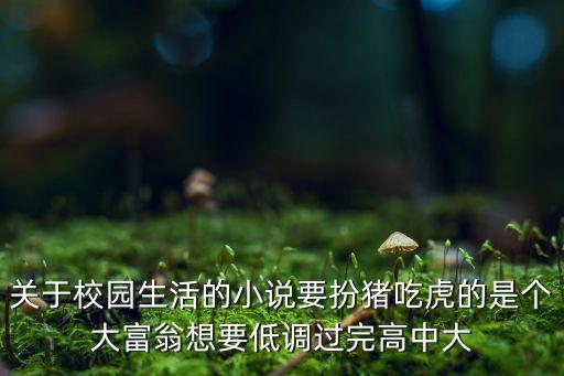 神豪學生低調(diào)校園的小說，青梅校園豪門的小說