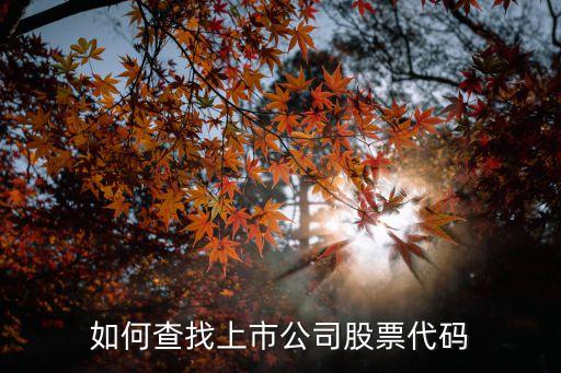上市公司股票代碼查詢，如何查詢上市公司的股票代碼
