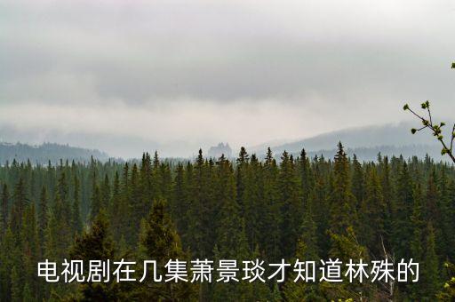 電視劇在幾集蕭景琰才知道林殊的