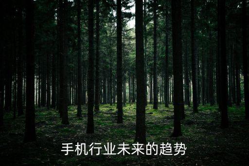 手機行業(yè)發(fā)展趨勢分析，手機行業(yè)未來的趨勢