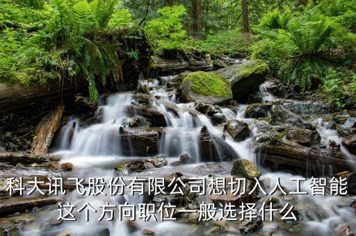科大訊飛股份有限公司想切入人工智能這個(gè)方向職位一般選擇什么