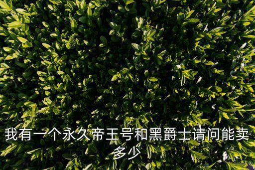 我有一個永久帝王號和黑爵士請問能賣多少