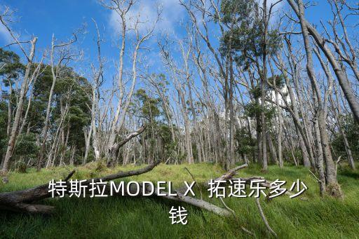 特斯拉輔助駕駛多少錢，特斯拉MODEL X  拓速樂(lè)多少錢