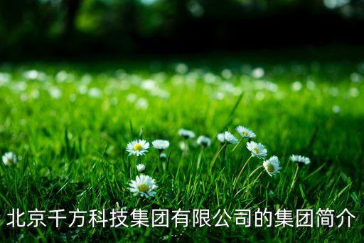 北京千方科技集團(tuán)有限公司的集團(tuán)簡(jiǎn)介