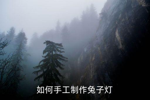 如何手工制作兔子燈