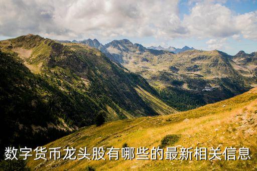 數字貨幣股票有哪些龍頭股，比特幣價格翻倍 比特幣概念股有哪些