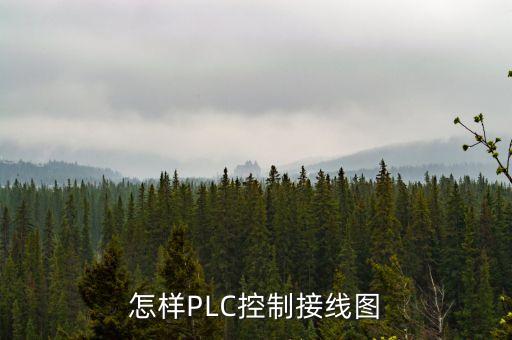 怎樣PLC控制接線圖