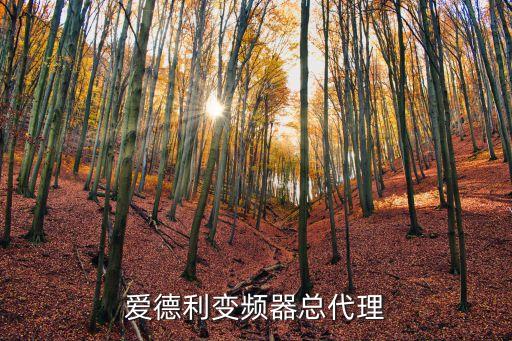 愛德利變頻器總代理