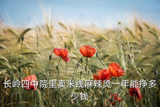 長嶺四中院里賣米線麻辣燙一年能掙多少錢