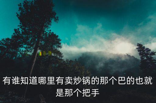 有誰知道哪里有賣炒鍋的那個(gè)巴的也就是那個(gè)把手