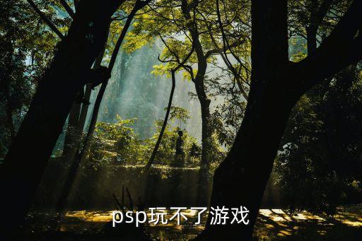psp玩不了游戲