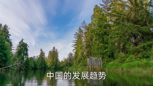中國(guó)的發(fā)展趨勢(shì)