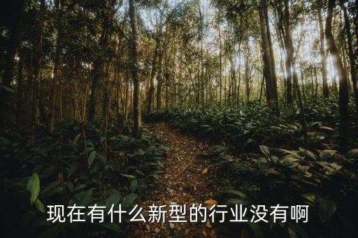 2022年十大科技創(chuàng)新產(chǎn)業(yè)，現(xiàn)在有什么新型的行業(yè)沒有啊