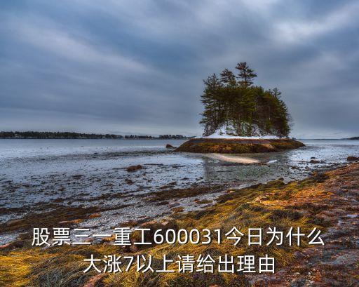 股票三一重工600031今日為什么大漲7以上請(qǐng)給出理由