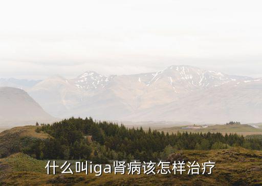 什么叫iga腎病該怎樣治療