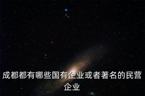 成都都有哪些國有企業(yè)或者著名的民營企業(yè)