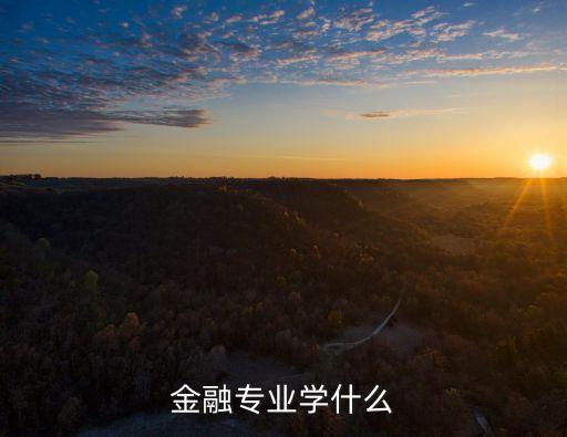 金融專業(yè)學(xué)什么