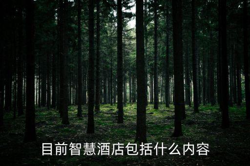 目前智慧酒店包括什么內(nèi)容