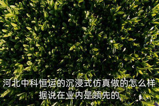 河北中科恒運(yùn)的沉浸式仿真做的怎么樣據(jù)說(shuō)在業(yè)內(nèi)是領(lǐng)先的