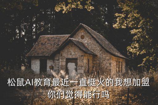 松鼠AI教育最近一直挺火的我想加盟你們覺得能行嗎