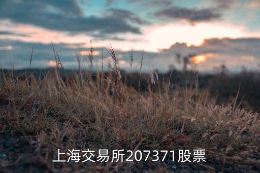 上海交易所207371股票