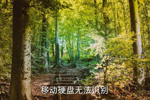 移動硬盤無法識別
