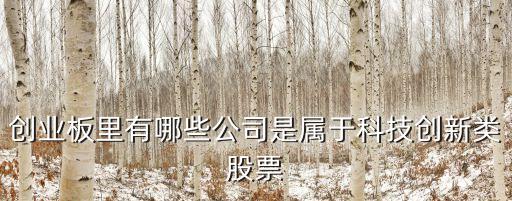 創(chuàng)業(yè)板里有哪些公司是屬于科技創(chuàng)新類股票