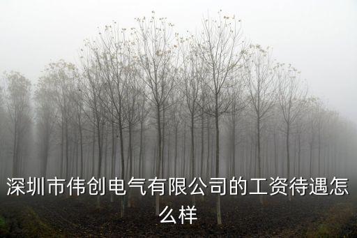 深圳市偉創(chuàng)電氣有限公司的工資待遇怎么樣