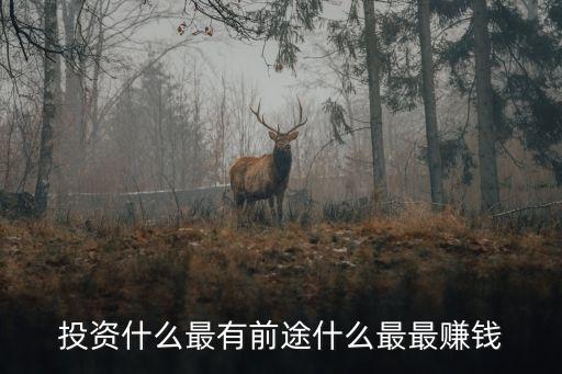 目前投資什么行業(yè)前景好，什么行業(yè)有前途