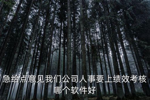急給點(diǎn)意見(jiàn)我們公司人事要上績(jī)效考核哪個(gè)軟件好