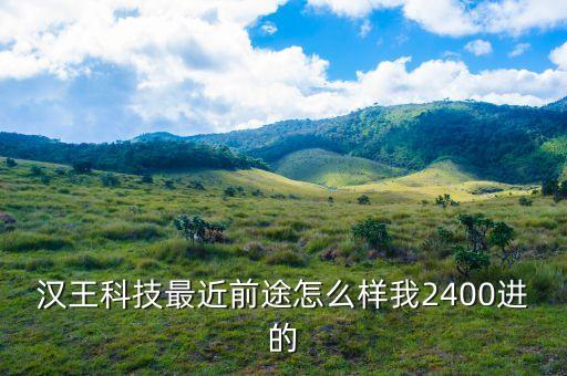 漢王科技最近前途怎么樣我2400進的
