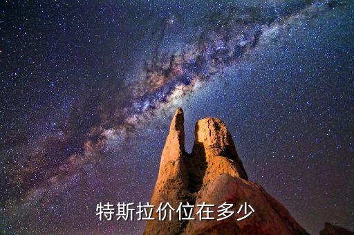 特斯拉價(jià)位在多少