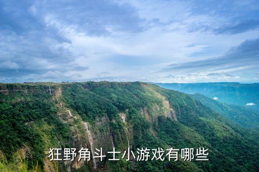 狂野角斗士小游戲有哪些