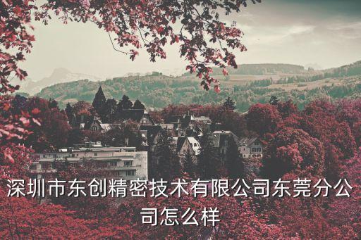 深圳市東創(chuàng)精密技術(shù)有限公司東莞分公司怎么樣