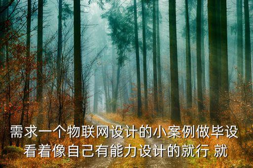 需求一個物聯(lián)網(wǎng)設計的小案例做畢設 看著像自己有能力設計的就行 就