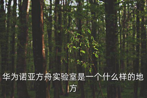 華為諾亞方舟實(shí)驗(yàn)室是一個(gè)什么樣的地方