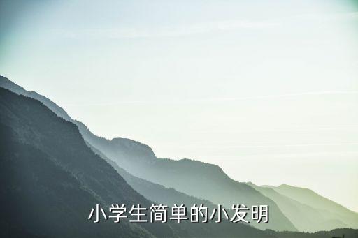 小學(xué)生簡(jiǎn)單的小發(fā)明