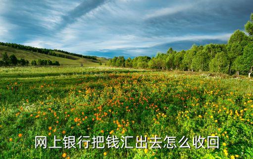匯元易付卡回收方法，錢匯錯款了通過哪些可以退回來嗎