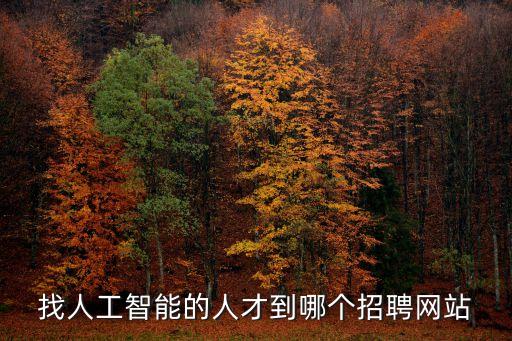 找人工智能的人才到哪個招聘網(wǎng)站