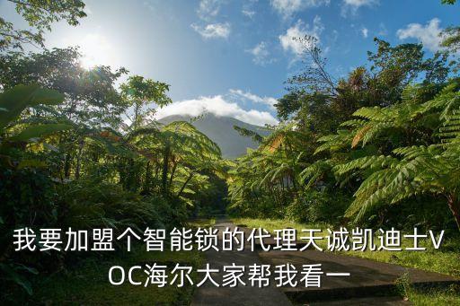 我要加盟個(gè)智能鎖的代理天誠凱迪士VOC海爾大家?guī)臀铱匆? class=