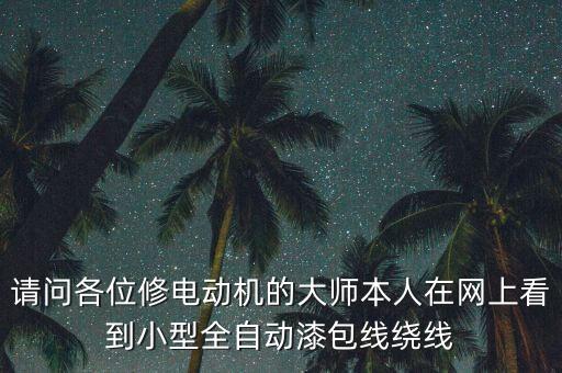 請問各位修電動機(jī)的大師本人在網(wǎng)上看到小型全自動漆包線繞線