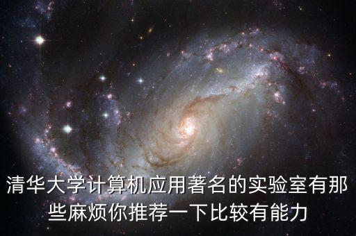 清華大學(xué)計(jì)算機(jī)應(yīng)用著名的實(shí)驗(yàn)室有那些麻煩你推薦一下比較有能力
