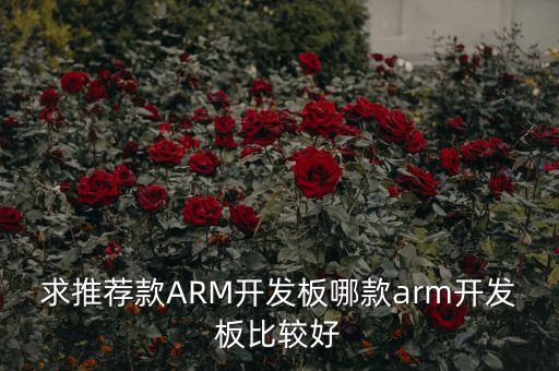 求推薦款A(yù)RM開發(fā)板哪款arm開發(fā)板比較好