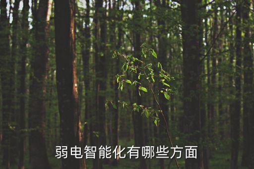 弱電智能化有哪些方面