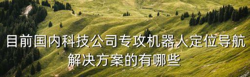 目前國內(nèi)科技公司專攻機器人定位導航解決方案的有哪些