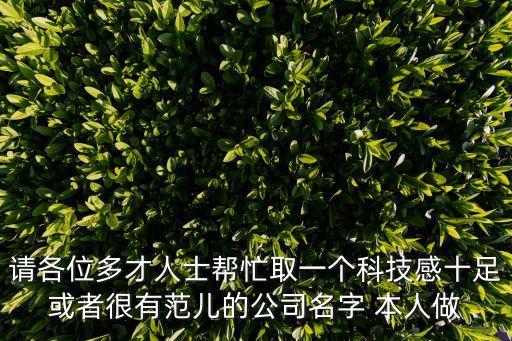 請(qǐng)各位多才人士幫忙取一個(gè)科技感十足或者很有范兒的公司名字 本人做