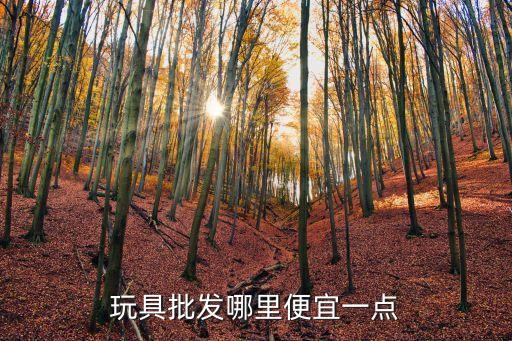 兒童玩具批發(fā)網(wǎng)站大全最便宜賣，全國兒童玩具的批發(fā)商哪些好 價格更便宜些附帶具體價格 謝謝