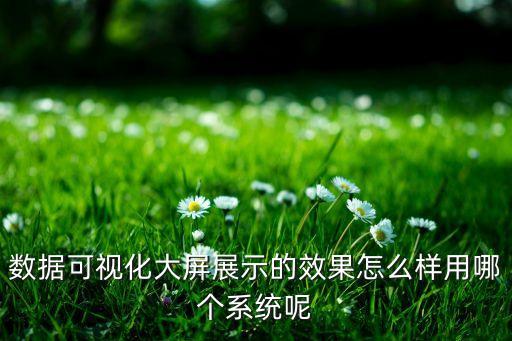 數(shù)據(jù)可視化大屏展示的效果怎么樣用哪個(gè)系統(tǒng)呢