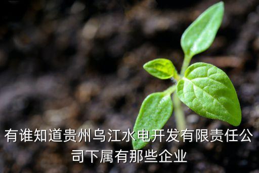 有誰知道貴州烏江水電開發(fā)有限責(zé)任公司下屬有那些企業(yè)